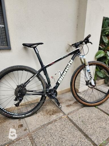 Bianchi Methanol 2017