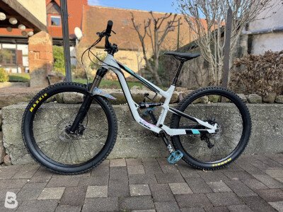 Focus Vice Pro 2017