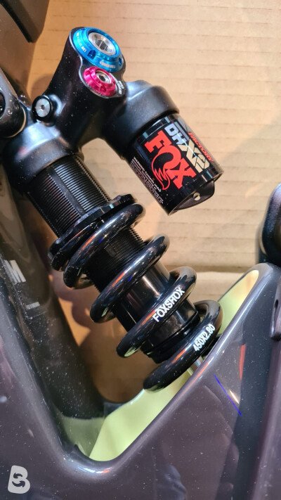 Fox DHX2 2024