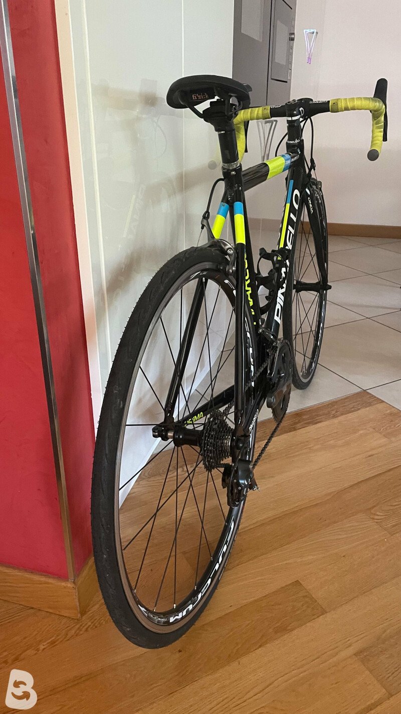Pinarello Alu Pista Bike 2019