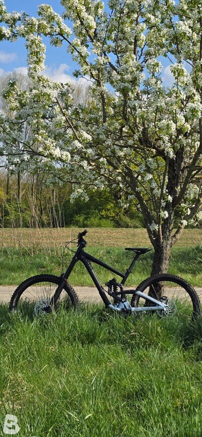 Scott Gambler 720 2018