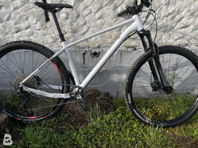 Rockrider AM 100 HT 2021