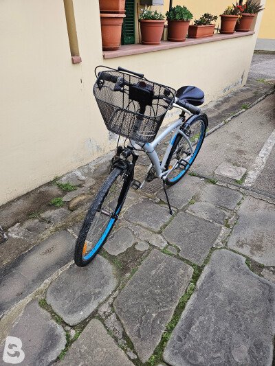 Bianchi Original 500 2024