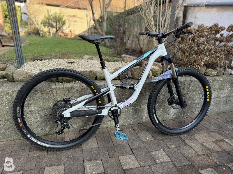 Focus Vice Pro gebraucht kaufen