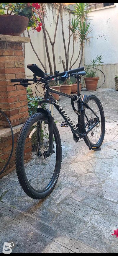 Specialized Rockhopper 2023