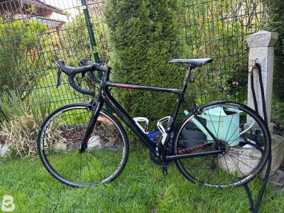 Canyon Endurace CF 7.0 2019