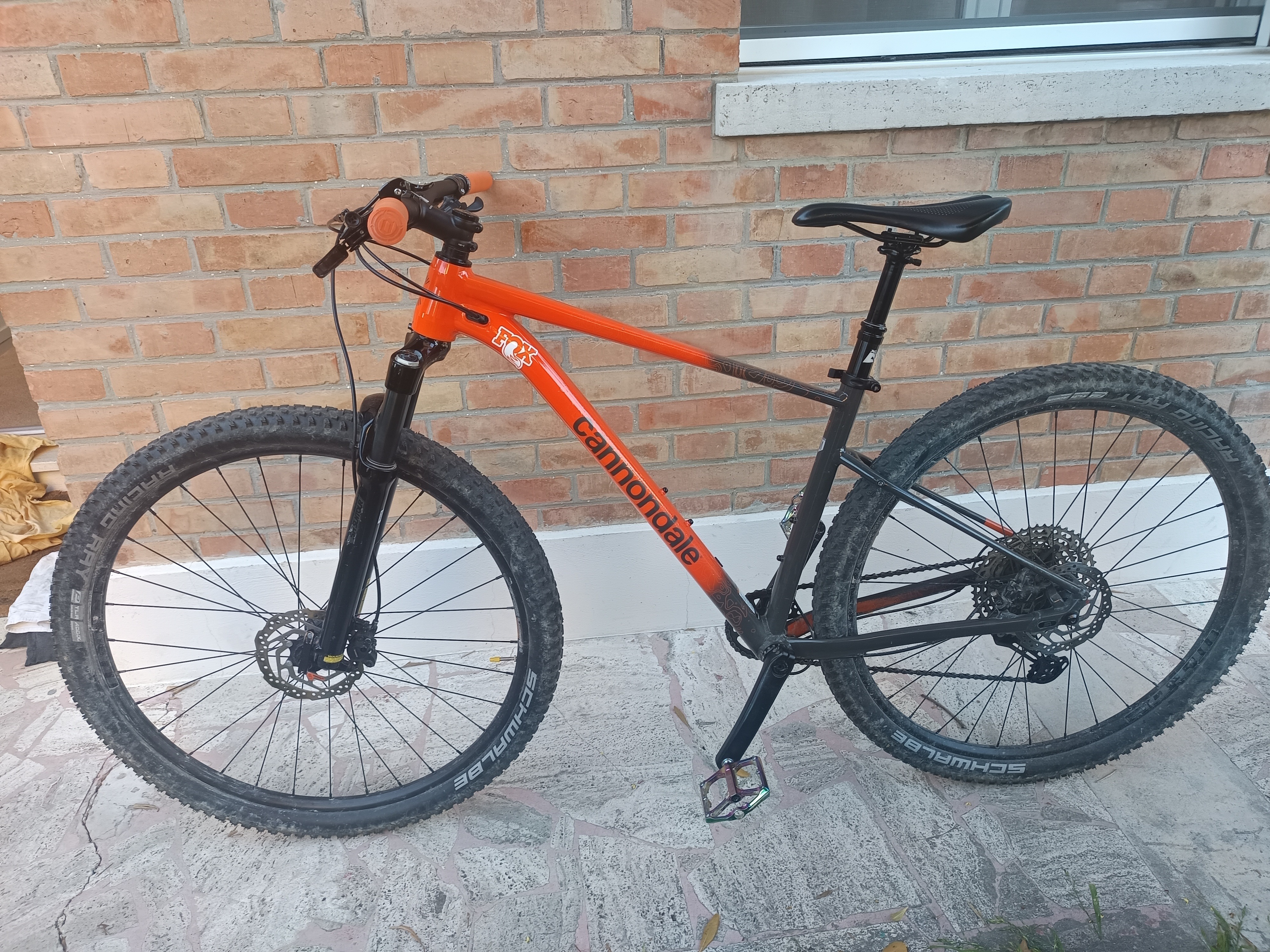 Cannondale Trail SL4 2024
