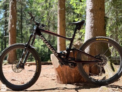 Specialized Enduro Expert 2020