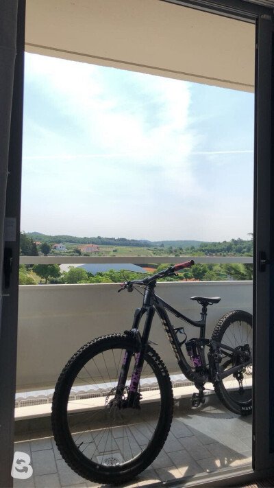 Giant Reign 1 2021