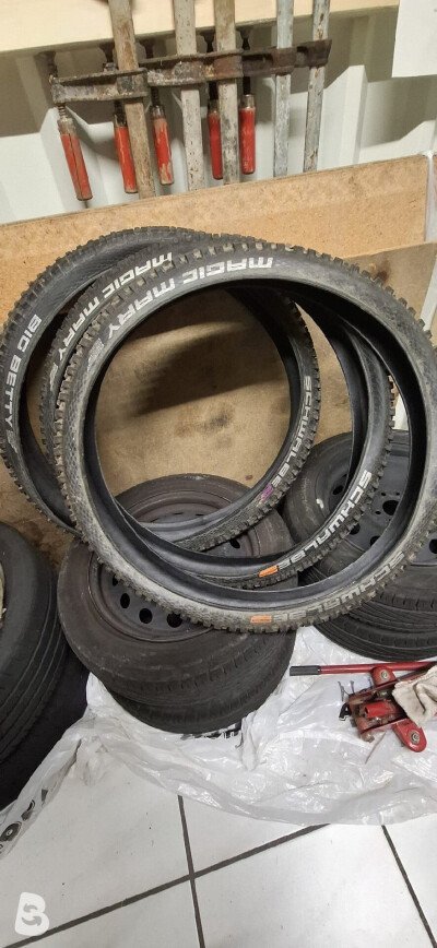Schwalbe Big Betty