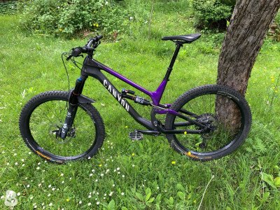 Canyon Torque CF 8.0 2020