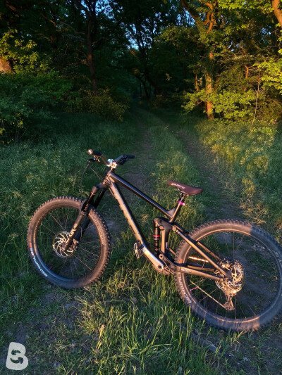 Trek Remedy 8 2020