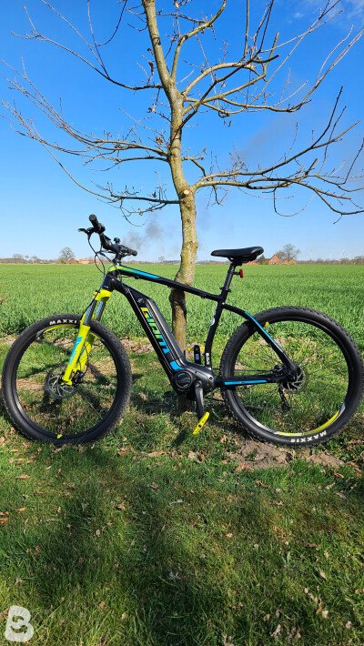 Giant Dirt E 2019
