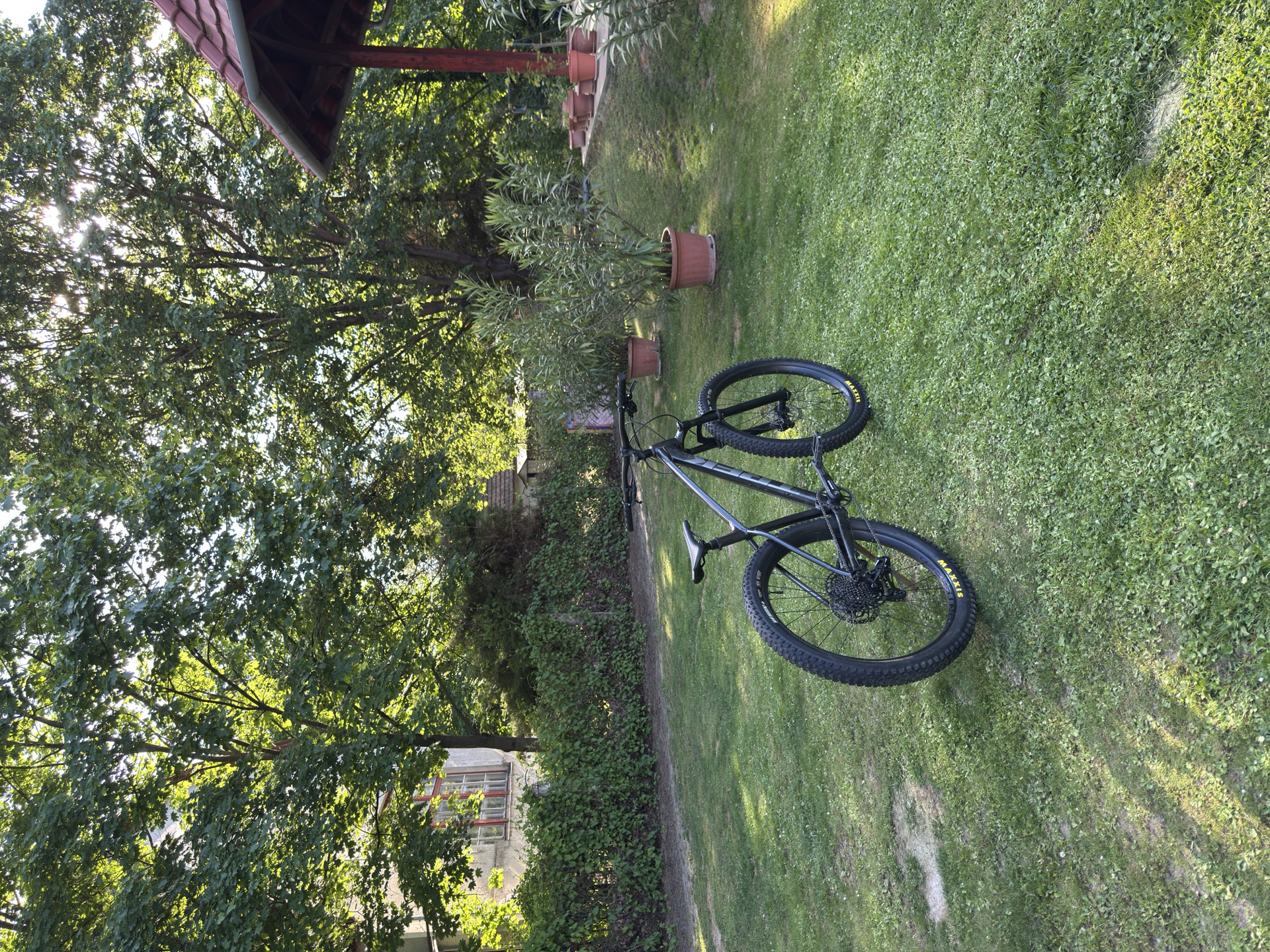 Trek Roscoe 7 2021