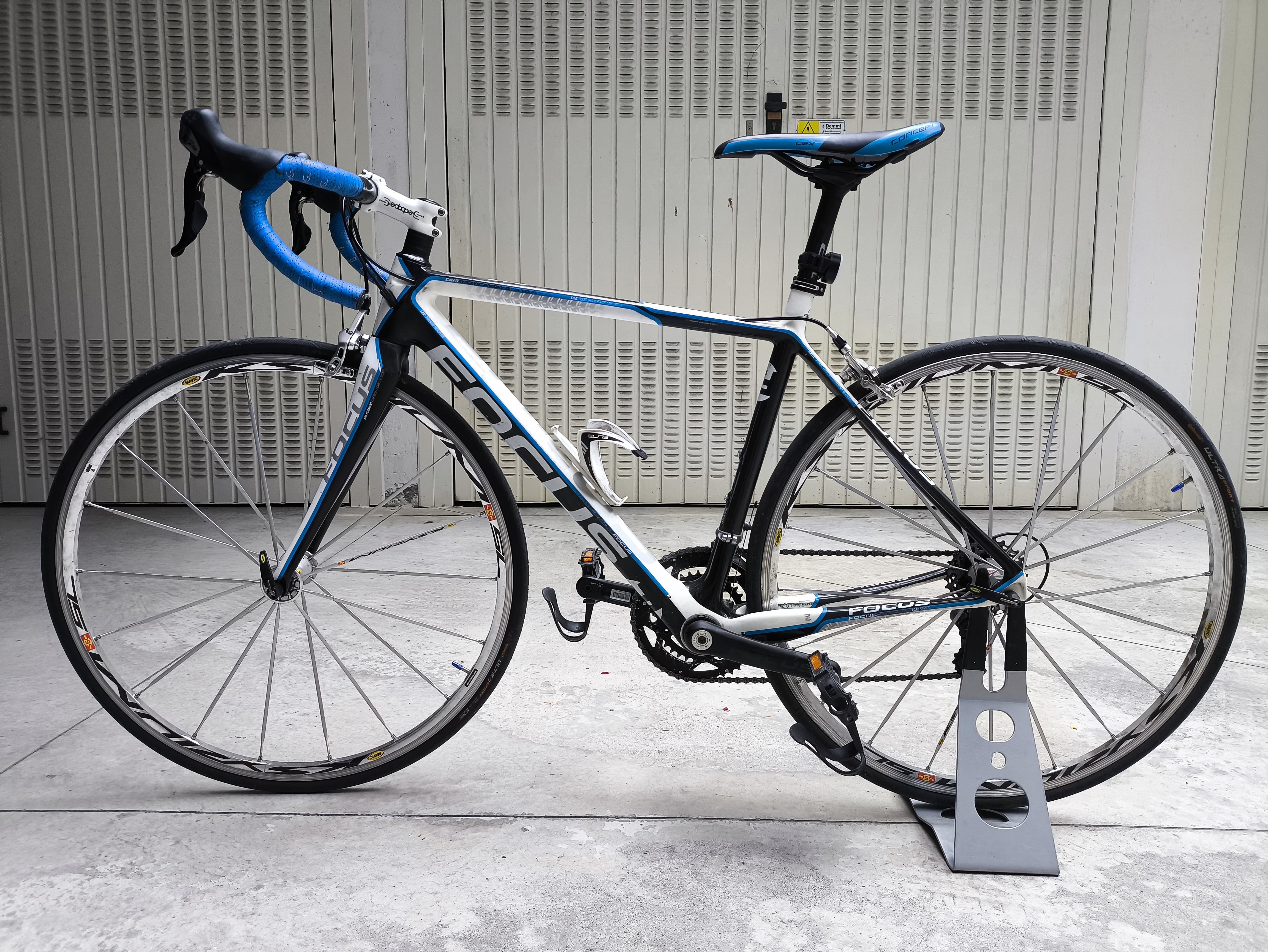 Focus Cayo evo 2016