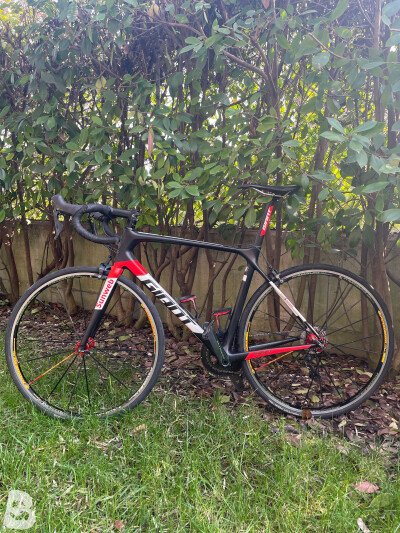 Giant TCR Advanced Pro Team 2019