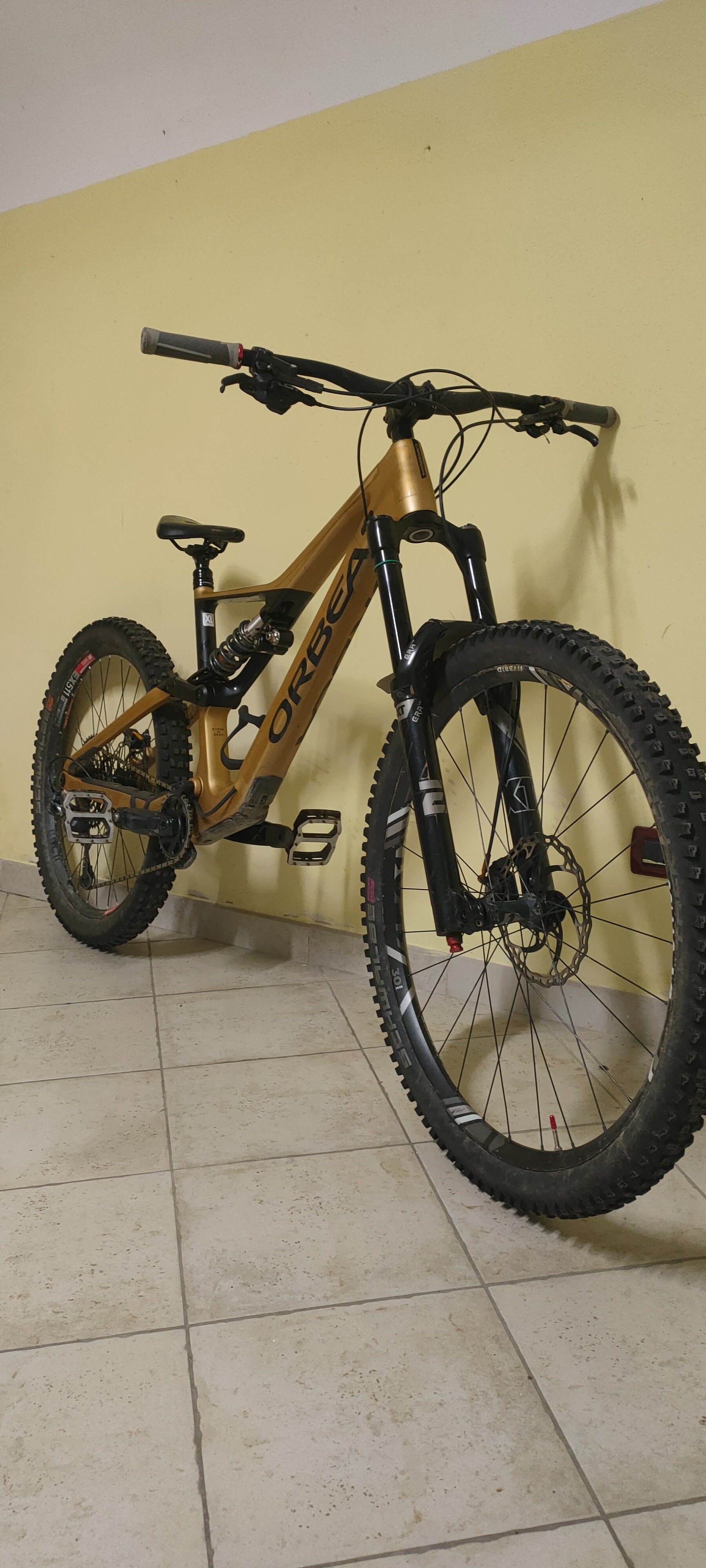 Orbea Rallon M-Team 2023