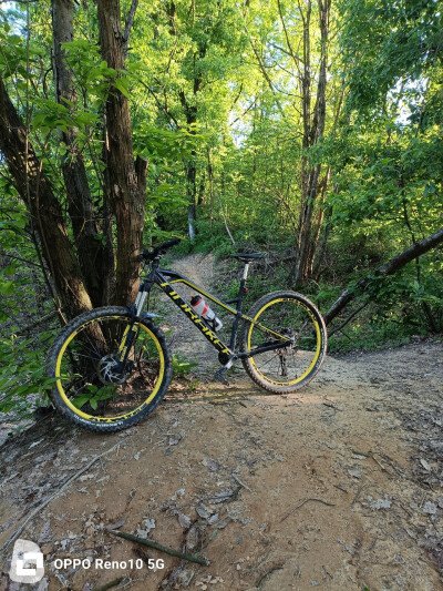 Mondraker Vantage 2016