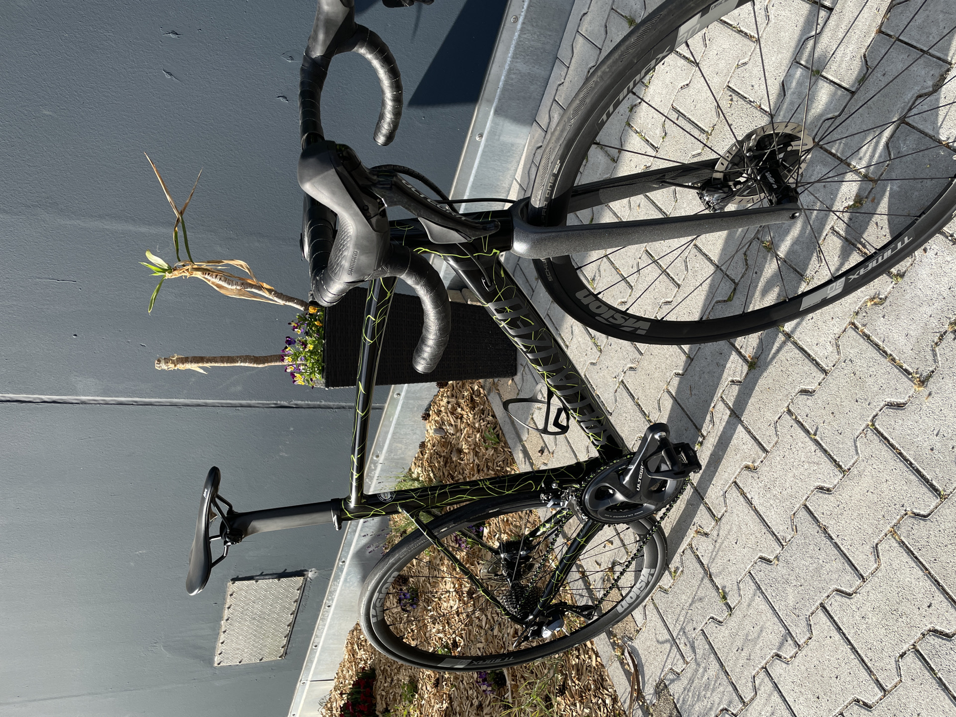 Specialized Allez Sprint Disc 2019