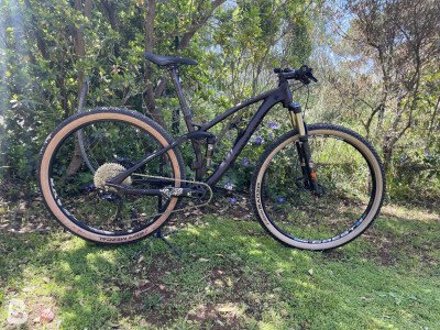 Canyon Nerve AL 2017