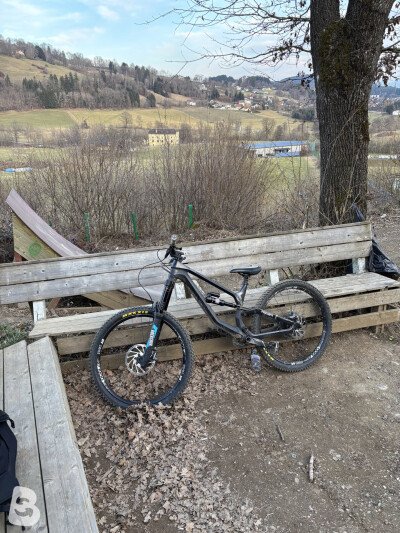 Canyon Torque CF 7.0 2020
