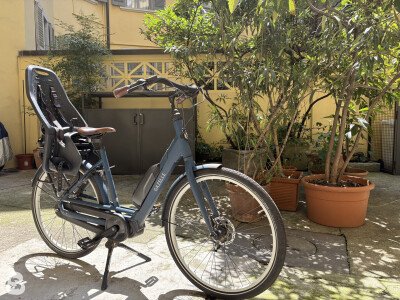 Gazelle Bloom C7 HMS 2021