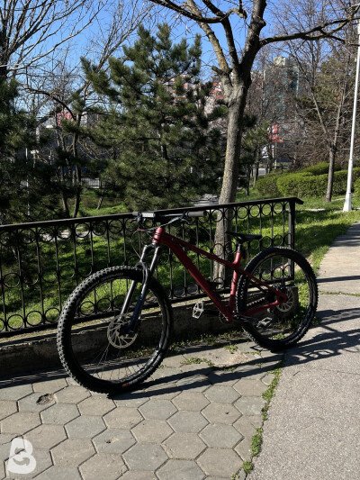 Canyon Stoic 3 2024
