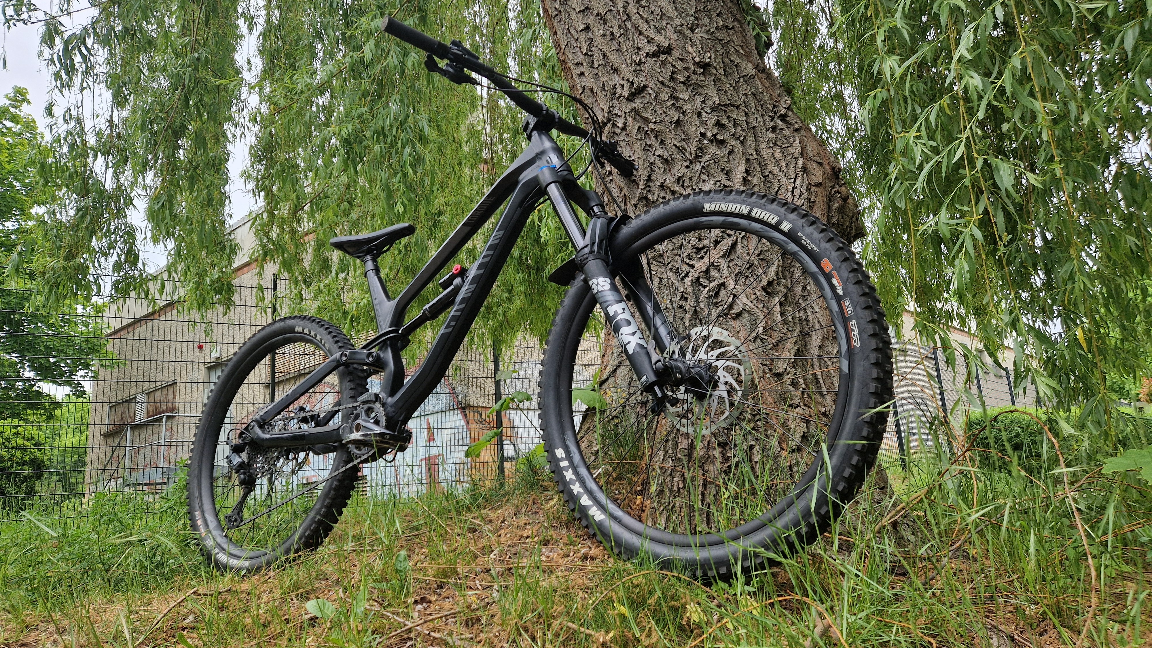 Canyon Torque 6.0 2021