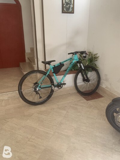 Megamo Dx3 Custom 2024