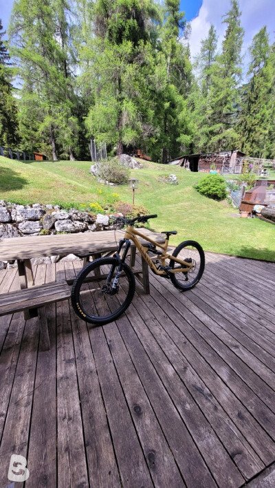 Canyon Torque Al 6 2022