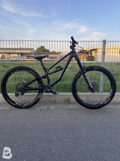 Canyon Torque CF 7.0 2021