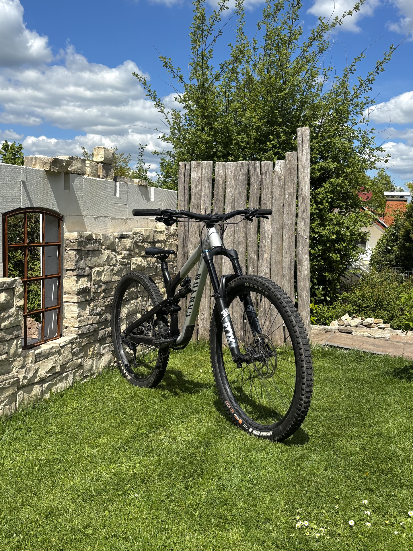 Canyon Spectral AL 5 2022