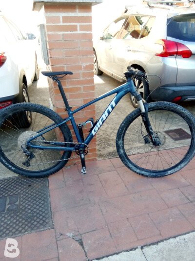 Giant Talon 0 2021