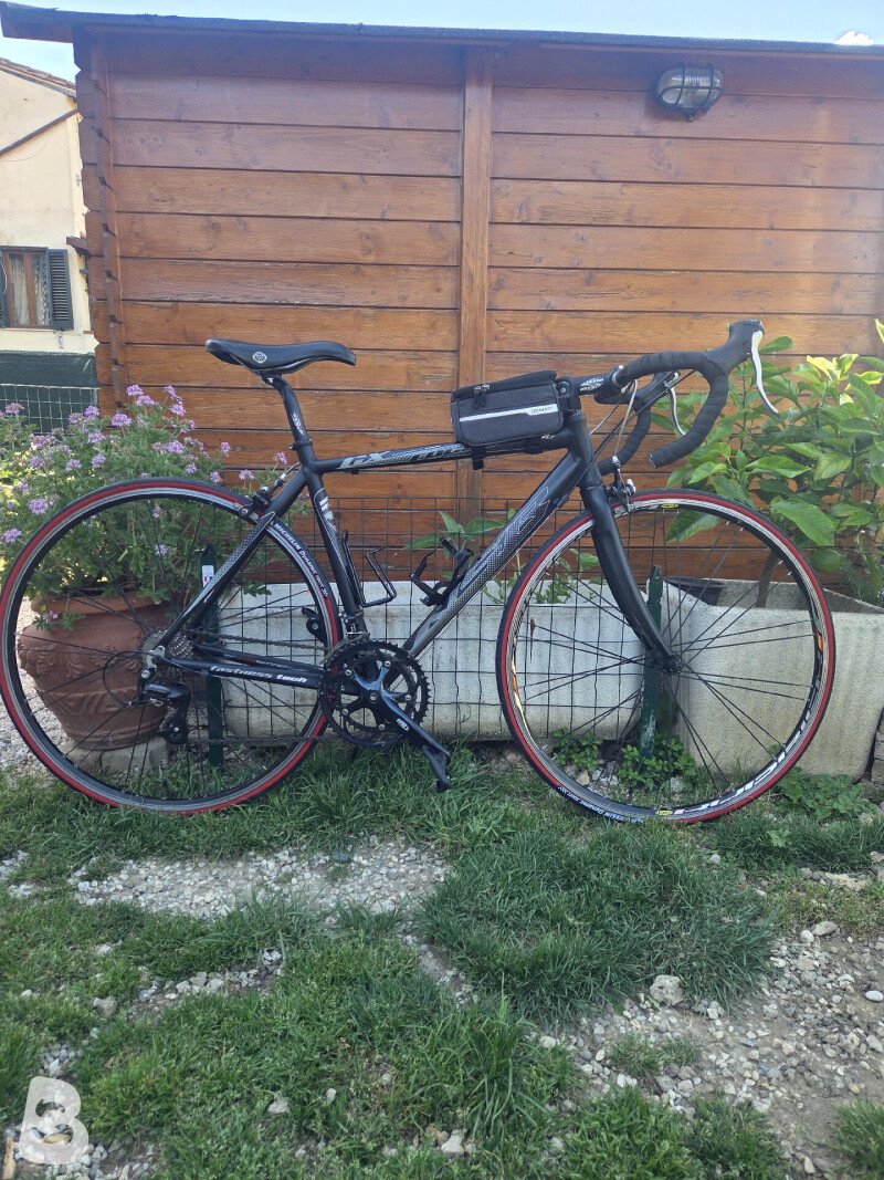 ロードバイク　イタリア産NSR ROCCO CX ノースロック SR1 ロードバイク | Costco Japan