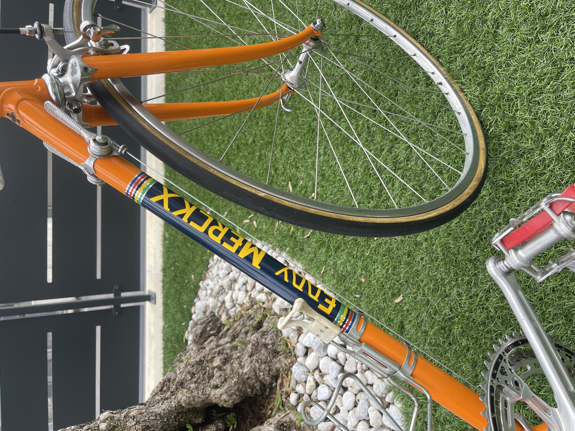 Colnago Molteni Eddy merckx 1975 used