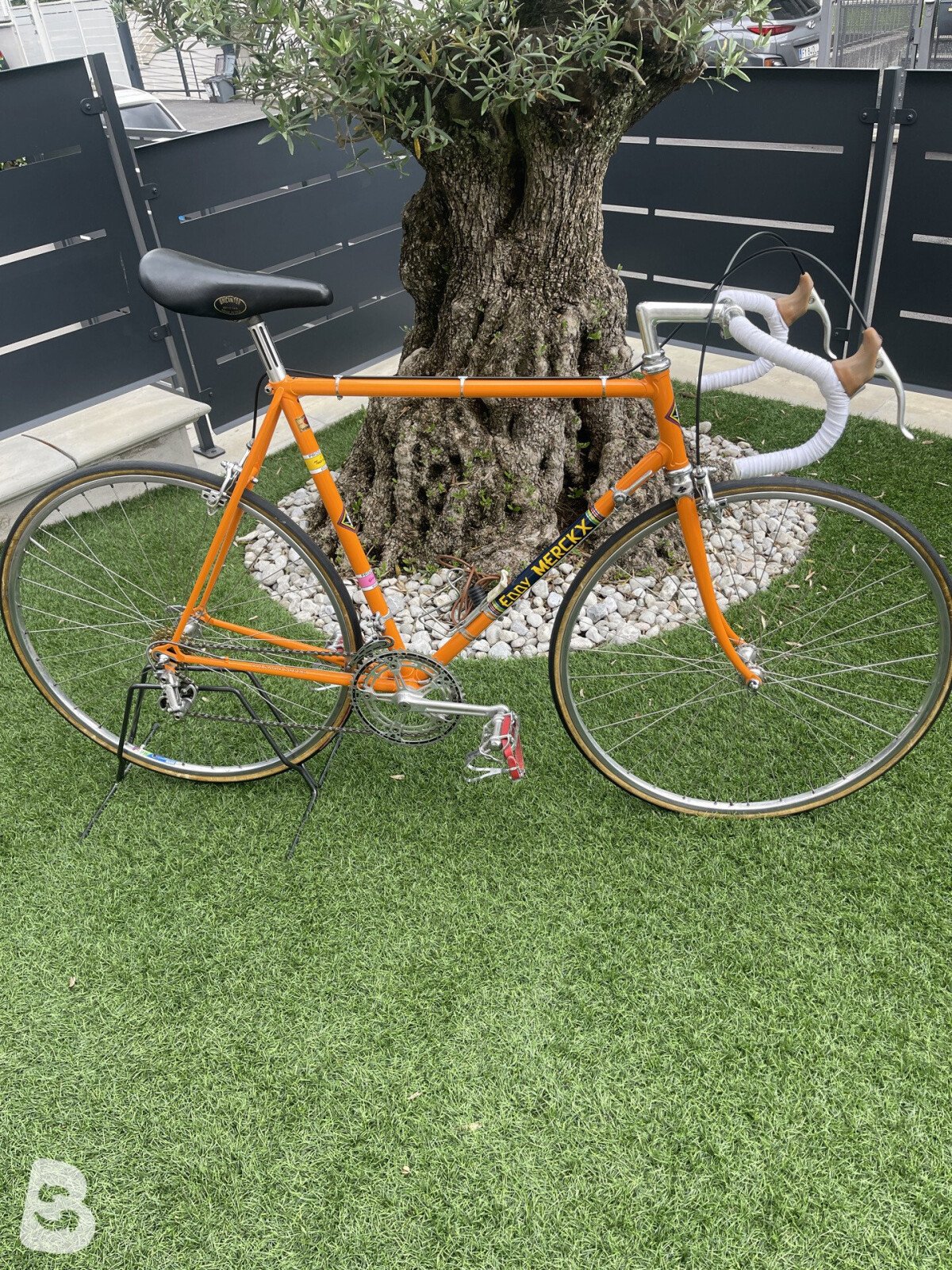 Colnago Molteni Eddy merckx 1975 utilisé