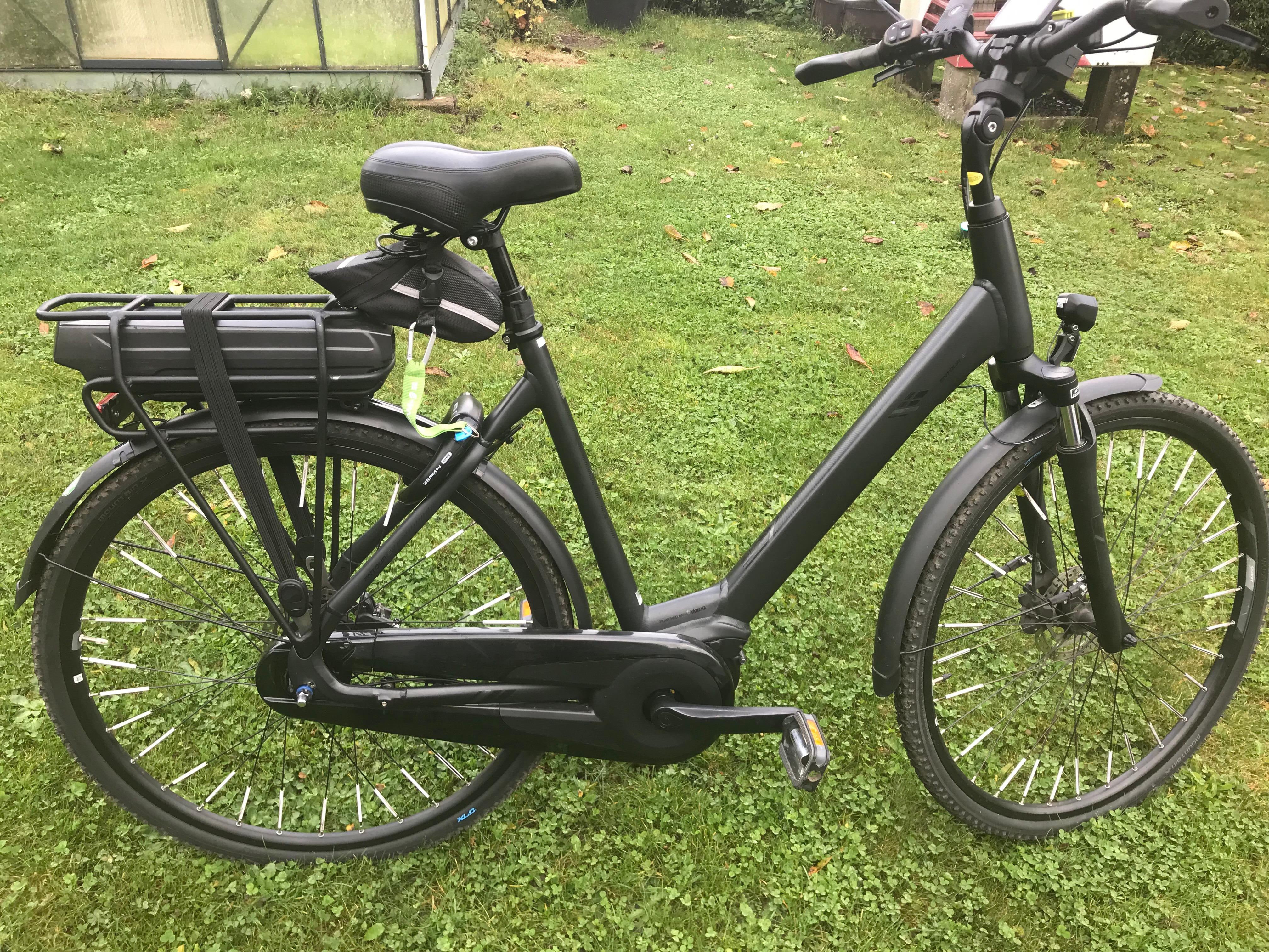 Giant Quick E+ Giant Speed Pedelec 2020 Entour Bike Bicycle Giant