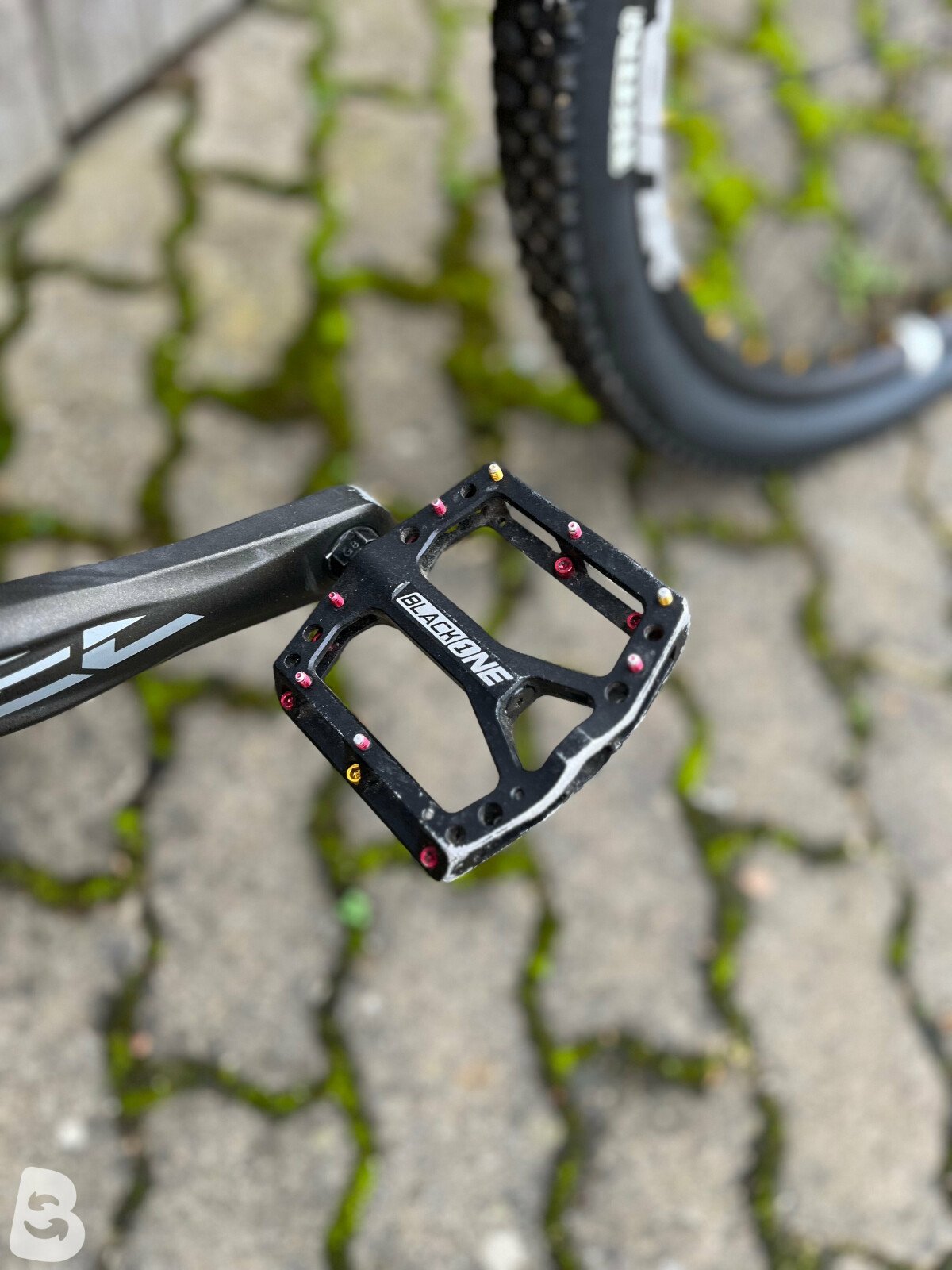 dartmoor two6player 2020