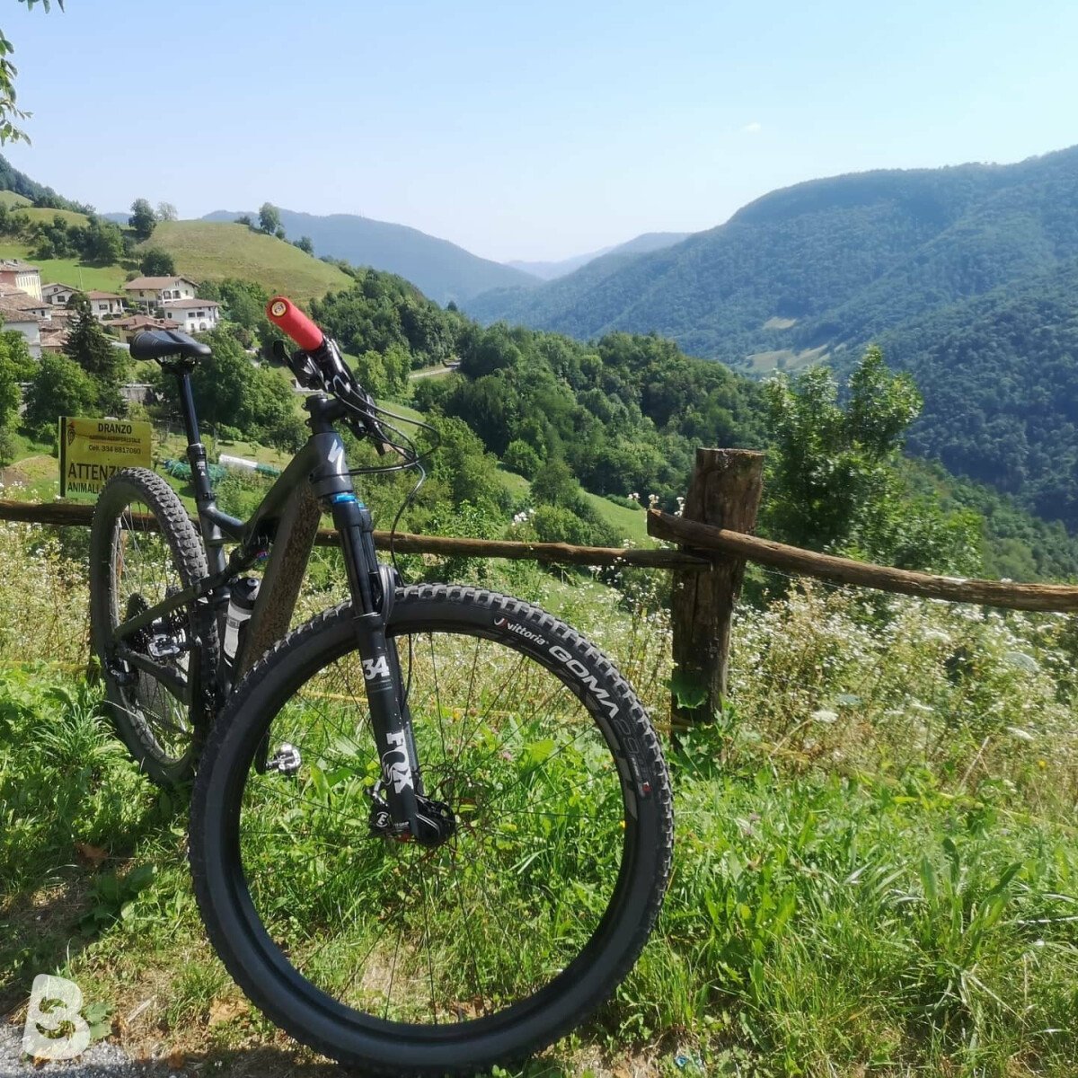 specialized camber 2010