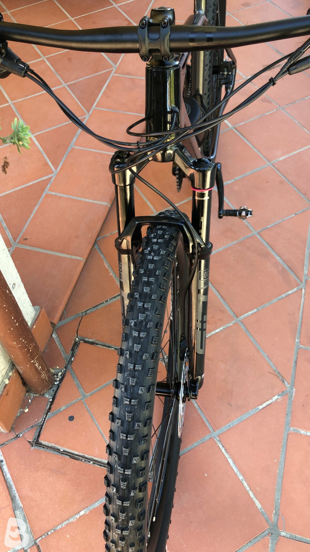 alma m 30