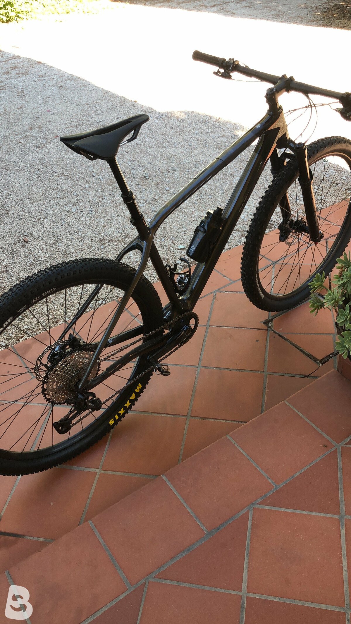 alma m 30
