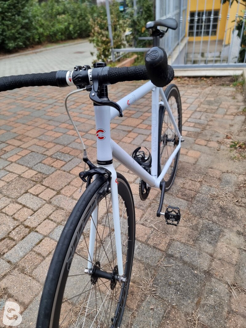 Cinelli bootleg mystic rats 2019 used