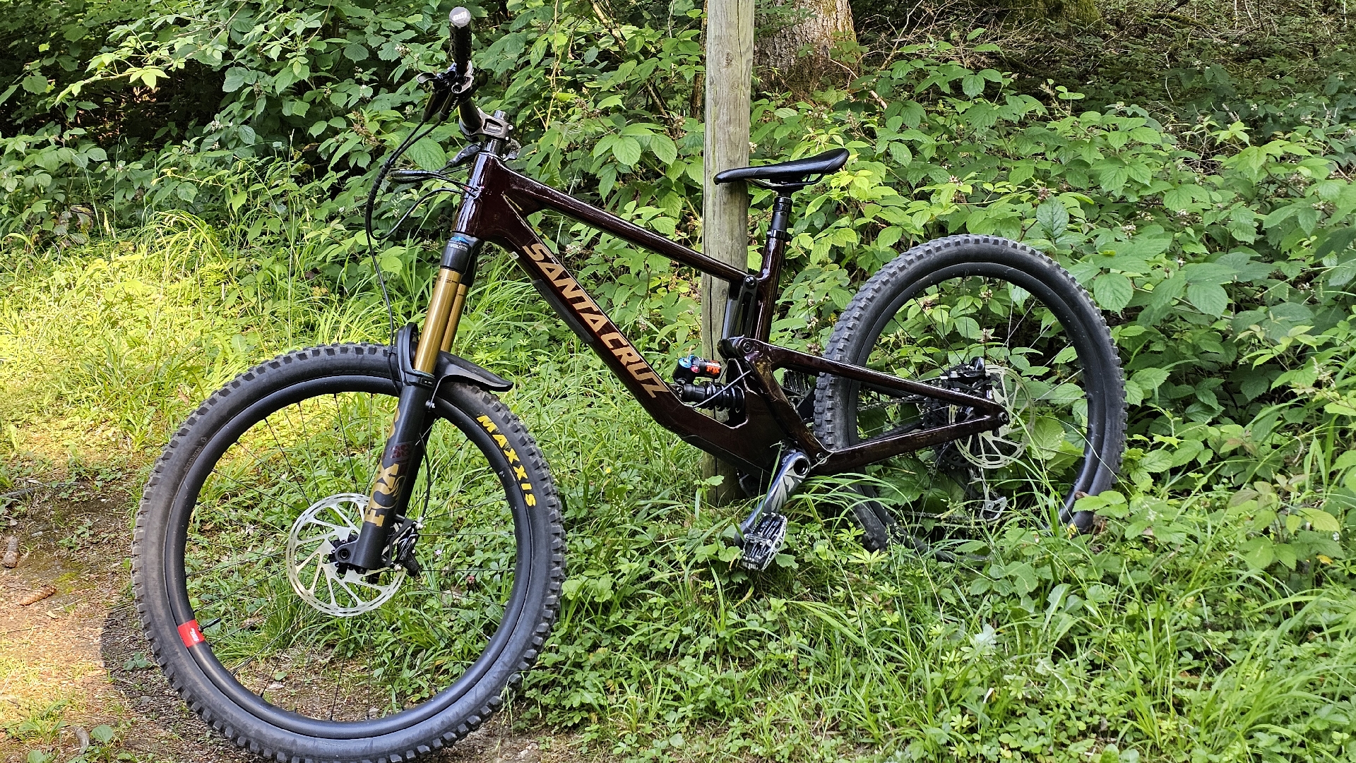 Cc X01 Santa Cruz Bronson 2021 Release Date 2021 Santa Cruz