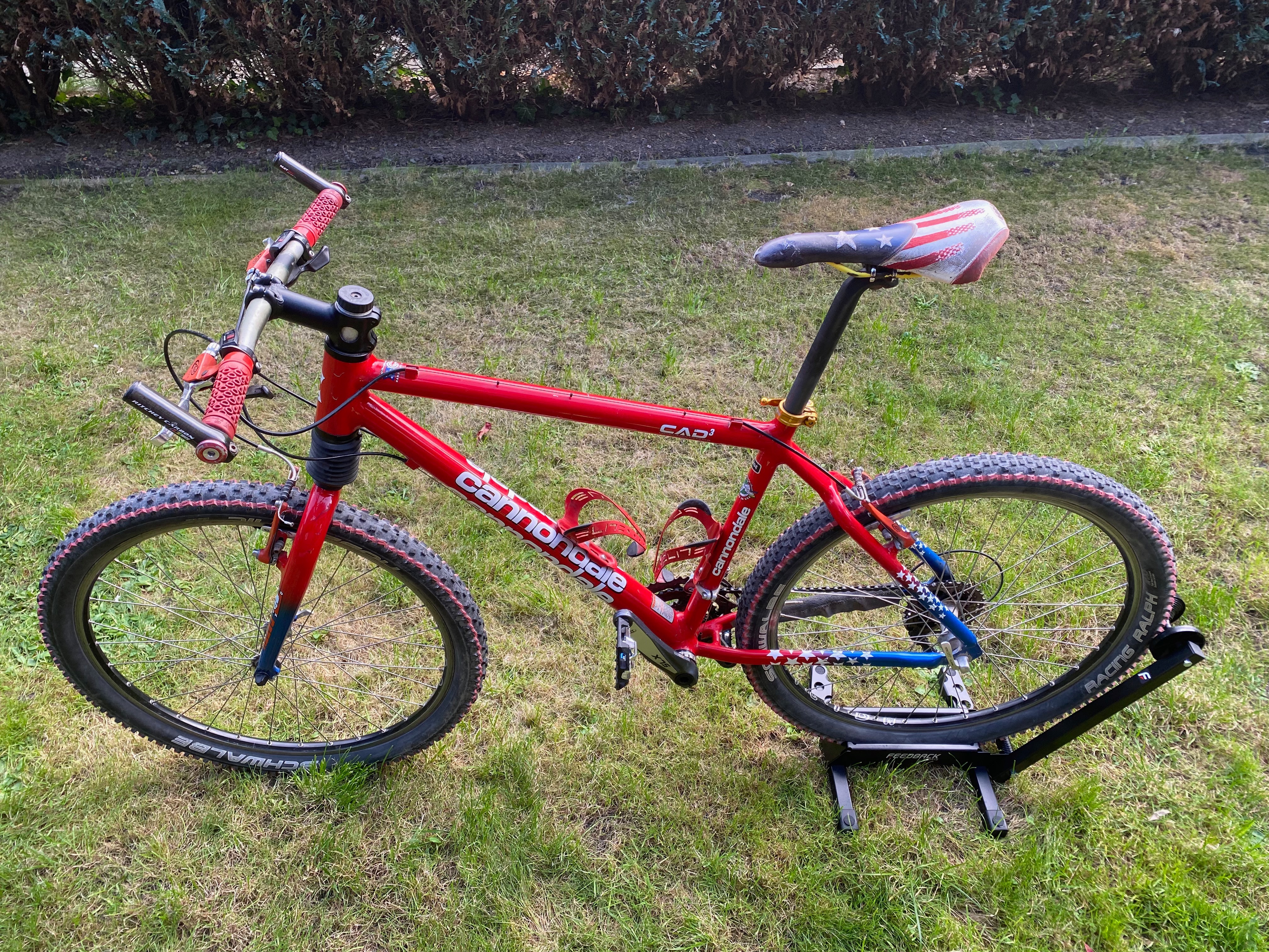 Cannondale Cad3 F800 USA Limited Edition 1998 used