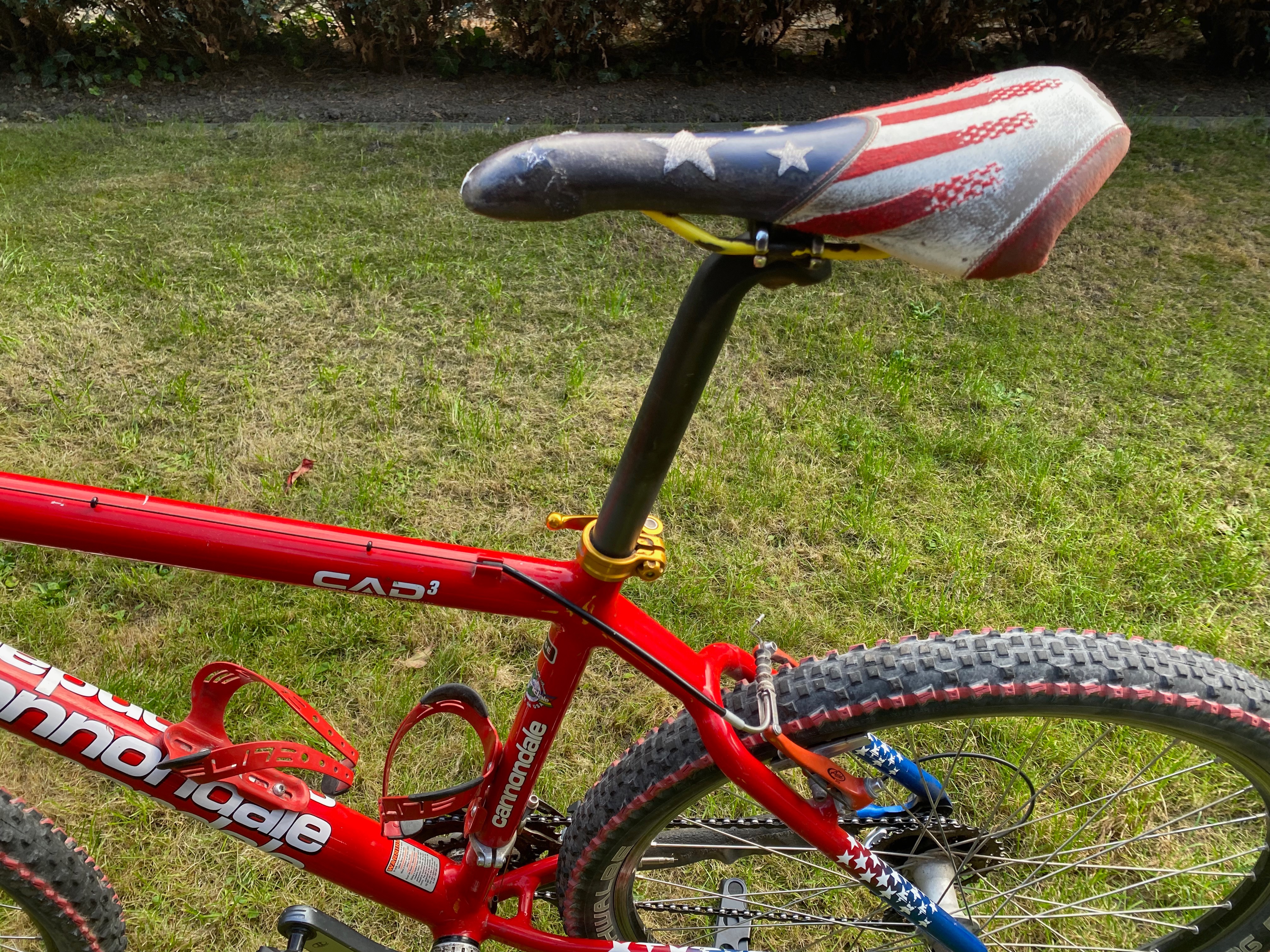 Cannondale Cad3 F800 USA Limited Edition 1998 used