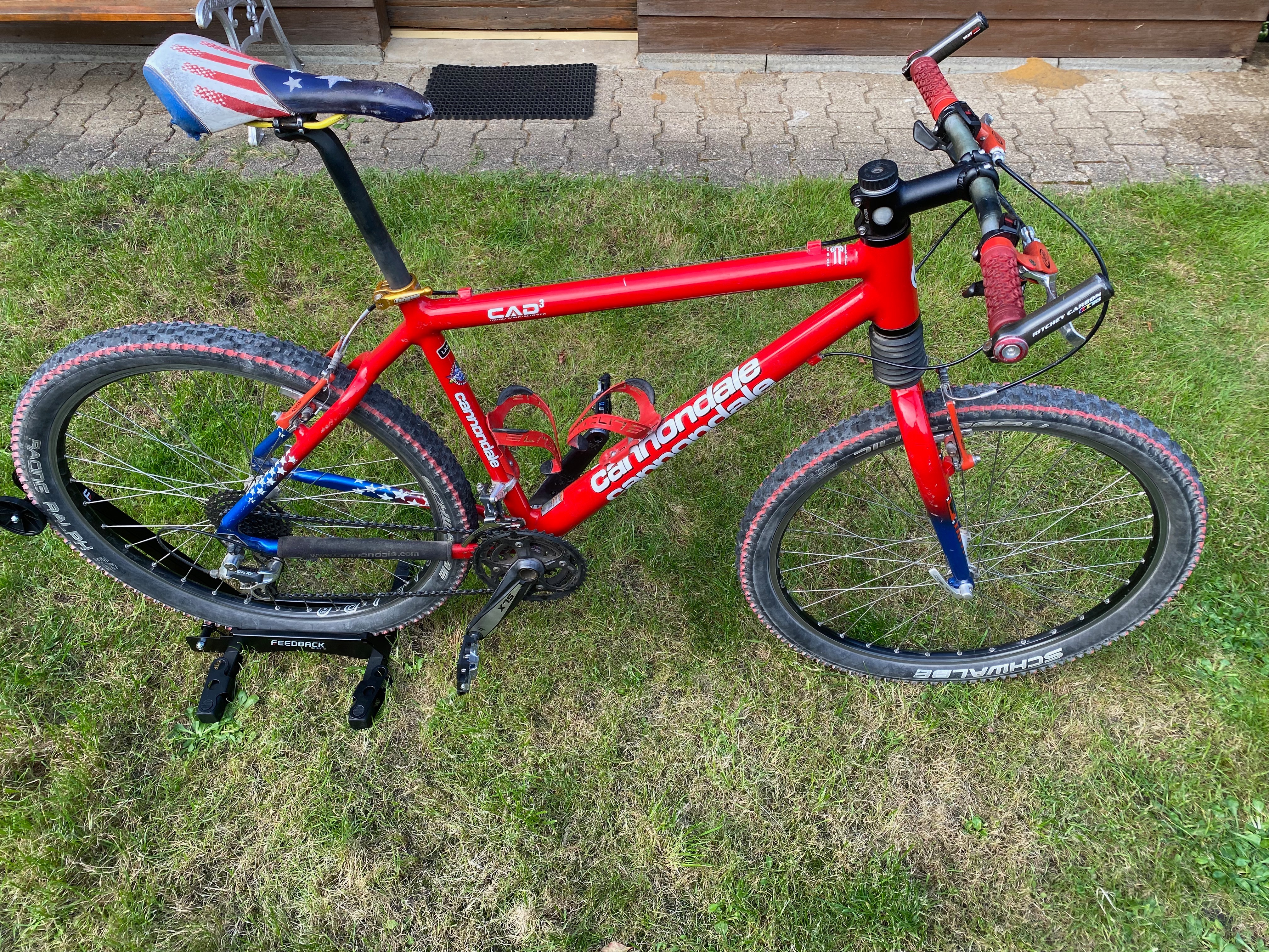 Cannondale Cad3 F800 USA Limited Edition 1998 used