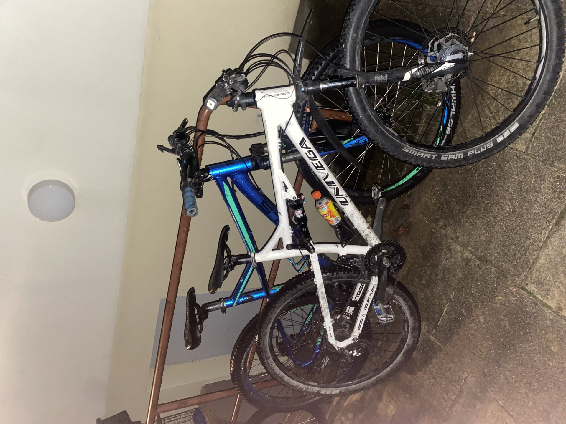 Univega Renegade 2019 used