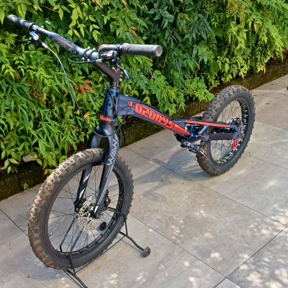 オゾニス OZONYS Curve 20インチフレーム ブラック/レッド Ozonys