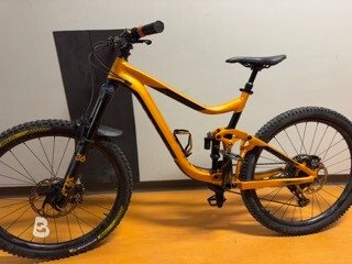 Giant Reign SX 2019 used