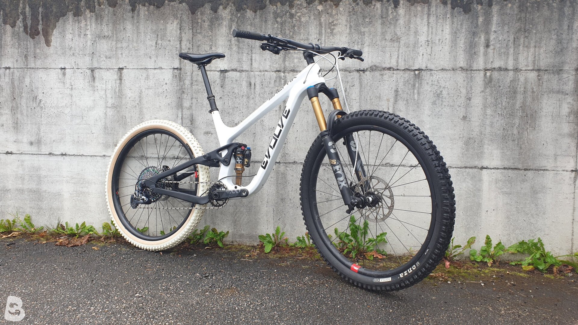 Evolve Alpha 2020 used